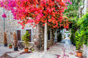 Bodrum street view in Turkey