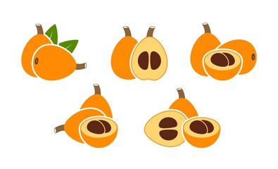 Loquat logo. Isolated loquat on white background