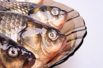 Fresh fish carp, carassius  in a plate close-up. Freshwater fish..