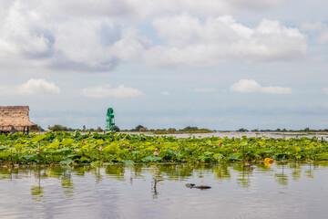 Tonle sap sea in Cambodia Asia