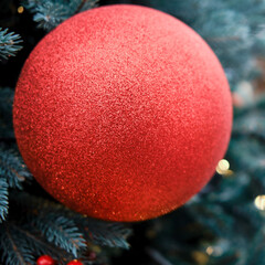 Big red ball Christmas toy on a branch of a tree, copy space