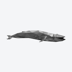 whale low poly polygonal geometric design