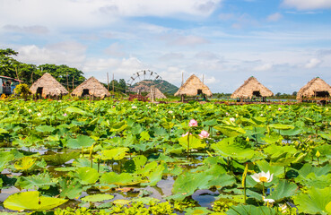 Tonle sap sea in Cambodia Asia
