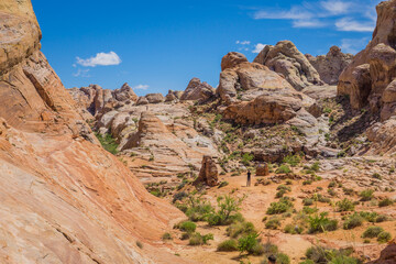 Typical arid and colorful landscape of the Valley of Fire in Nevada. Here the White Domes trail