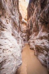 Slot canyon on the White Domes trail in Valley of Fire State park, Nevada