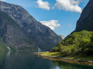 Fototapeta na wymiar Landscape of lake and mountains with a tree, in the fjors near bergen, norway