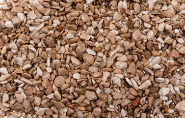 background of small pebbles close up