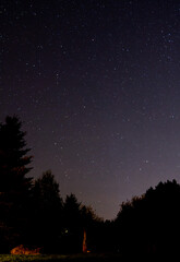 starry night sky