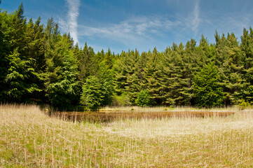 Agoraie oriented natural reserve, Ligurian Apennines, Italy.