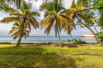 Fototapeta na wymiar Saint Vincent and the Grenadines, Britannia bay beach, coconut palms, Mustique