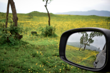 flower valley in the car mirror