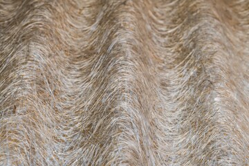 old fiberglass corrugated roofing