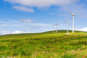 Windmill park