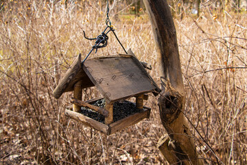 Feeder with seeds inside hanging on a tree in the park.