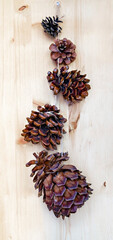 Christmas hand-made garland of pine, larch and cedar cones on a light wooden background. Vertical minimal abstract background, eco concept, neutral palette. Christmas natural decoration