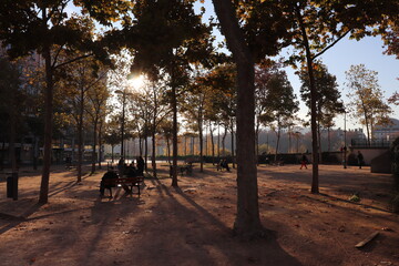 Naklejka premium la place maréchal Lyautey à Lyon en automne et ses arbres, ville de Lyon, département du Rhône, France