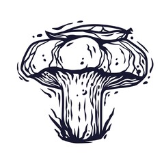 Vector illustration of milk agaric. Autumn mushroom picking for vegan food and cooking design