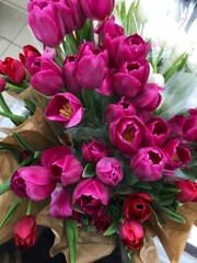 Pink red and white tulips bouquet macro  