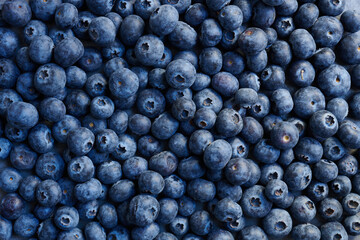 Fototapeta na wymiar Full frame background of freshly picked organic blueberries. Winter harvest. Top view shot.