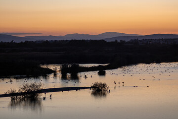 Wetland with flamingos and herds of birds at sunset time, dark silhouettes, mountains at the background and orange sky. Vera playa, Almería, Andalusia, Southern Spain