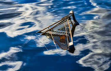 Einkaufswagen im Wasser