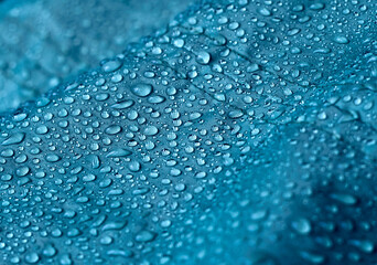 Rain water droplets on waterproof fabric.