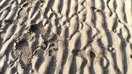 Sandy beach with footprints 