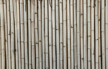 Bamboo fence texture background. Bamboo wall background. Dry bamboo texture exactly vertically straight wall floor light. Eco natural background concept