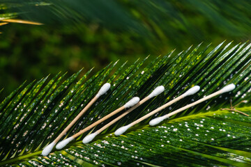 Organic biodegradable bamboo cotton swabs on green leaf natural background. Eco-friendly beauty and cosmetic products. Zero waste sustainable plastic free lifestyle