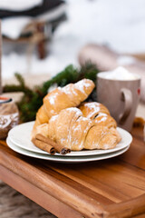 winter picnic in the forest