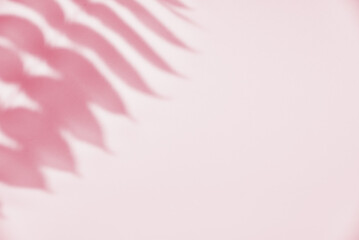 Leaf shadow on pink background. Creative abstract background