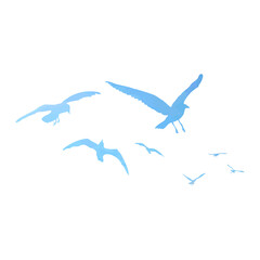 Watercolour silhouette of flying birds seagulls on white background. Inspirational body flash tattoo ink of sea birds. Vector.