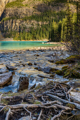 Small creek and valley on the lakeshore in the forest on a sunny day.