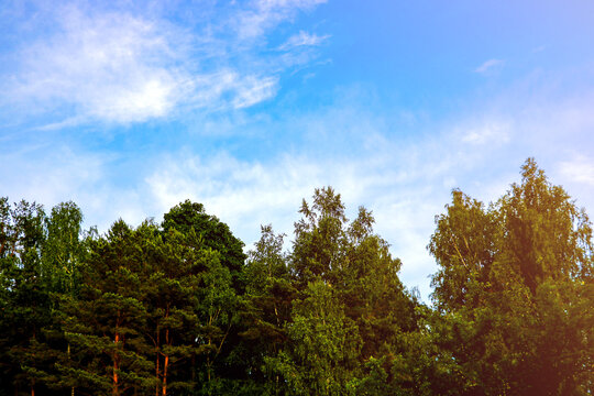 Colorful Landscape Photo In Clear Green And Blue Nature.