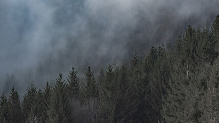 Schwarzwald Nebel Panorama 