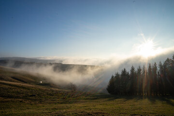 Nebel im Schwarzwald auf dem Schauinsland