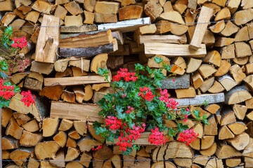 Glorenza, historic village in Venosta valley. Walls