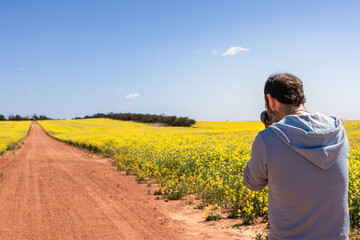 Man taking pictures with camera at canola paddocks. Yellow canola flowers at summer time. Canola is...