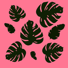 Set of exotic leaves
