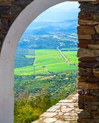 Vignes ,Occitanie,France.