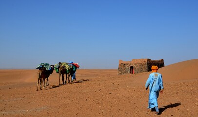 W&uuml;stenlandschaft