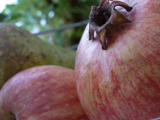 Whole pomegranate on a background of apple and pear.  