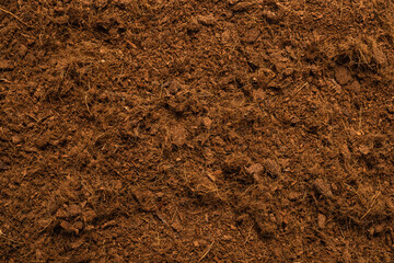 Coconut substrate background.