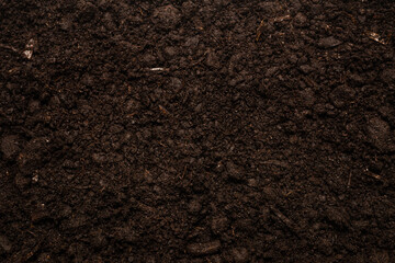 Black land for plant background.