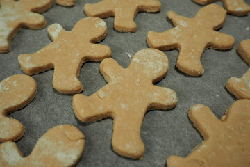Fototapeta na wymiar raw cookies made of cottage cheese and rice flour without sugar with date syrup on parchment paper in the shape of a gingerbread man side view