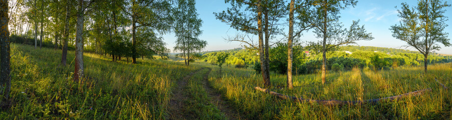 Bright summer scene with rural road and trees in forest during sunny morning
