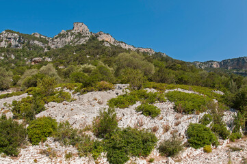 Fototapeta na wymiar Sardinian landscapes near Cala Sisine