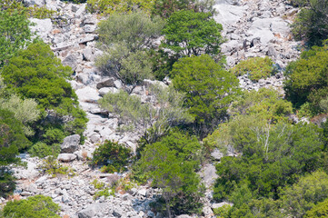 Sardinian landscapes near Cala Sisine