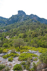 Sardinian landscapes near Cala Goloritze and Cala Sisine