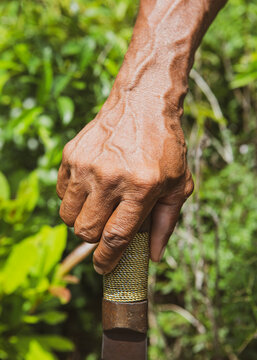 Old person brown skin hand holding a machete in front of some out of focus tropical vegetation under sunlight. Path opening tool in the wilderness.